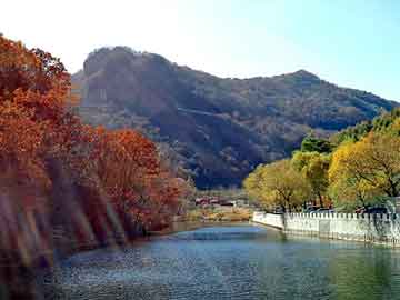 新澳天天开奖资料大全旅游团，中国石化燃油宝